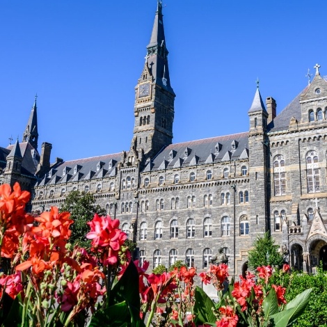 Garden of red flowers with castle like building in background