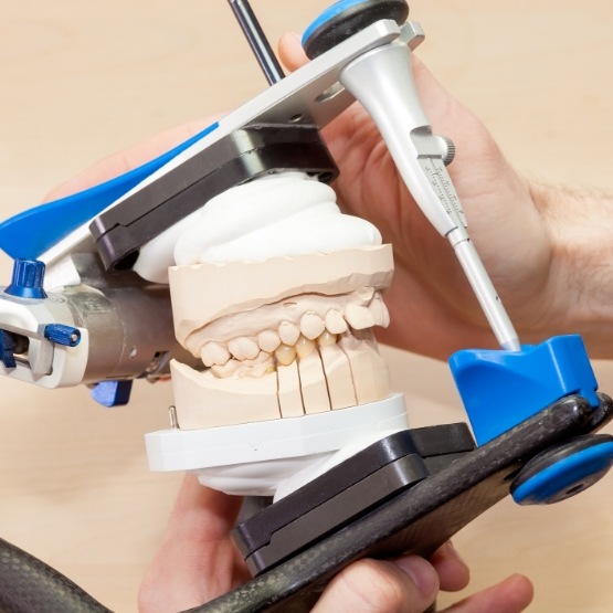 Model of the jaws in occlusal adjustment device